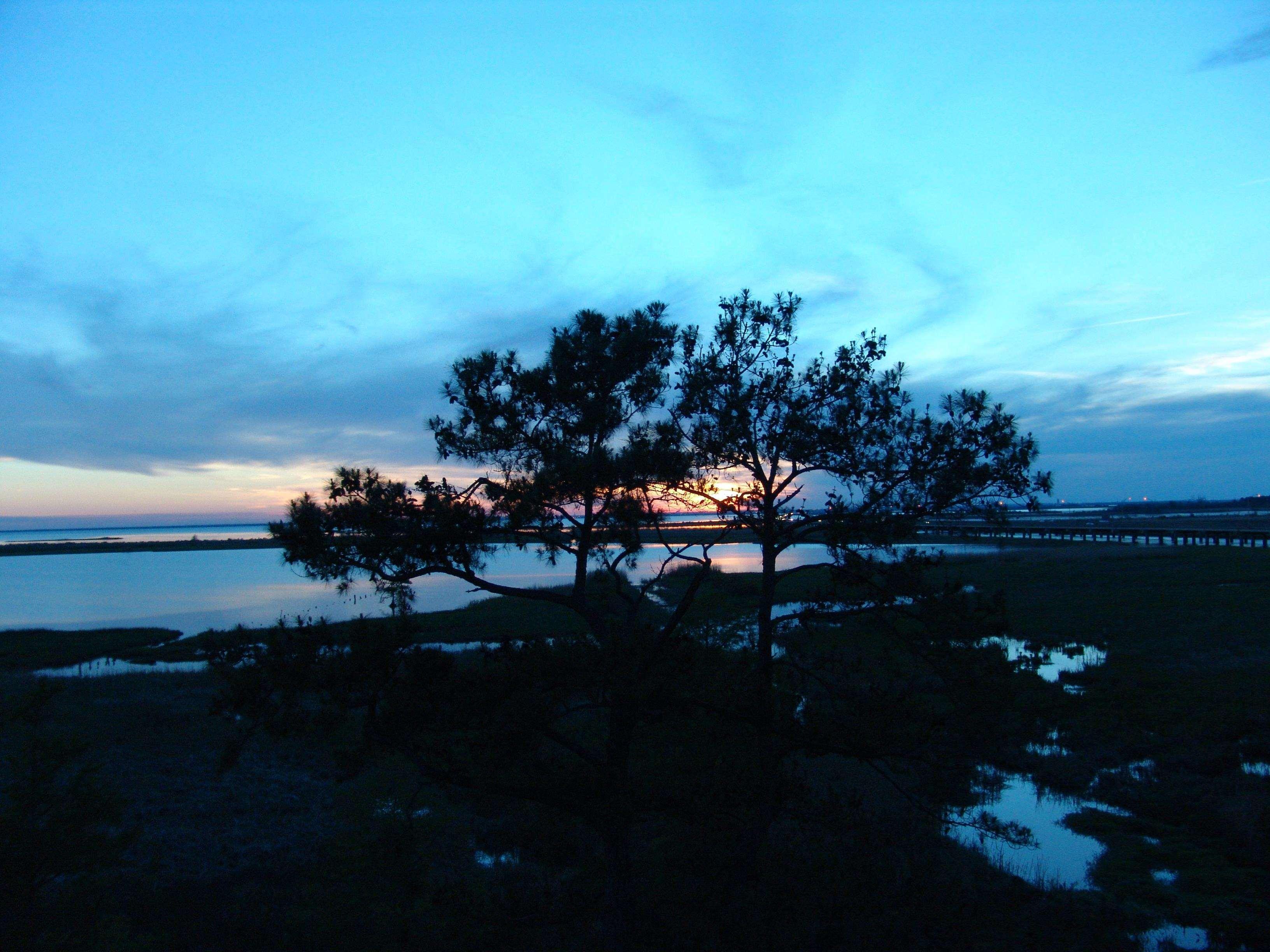 Hampton Inn Mobile/East Bay Daphne Eksteriør bilde